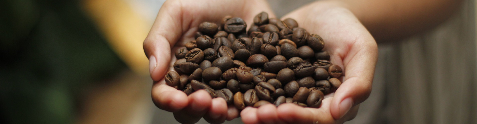 Bezkofeinová káva - jak se vyrábí, proč ji pít a mnohem více